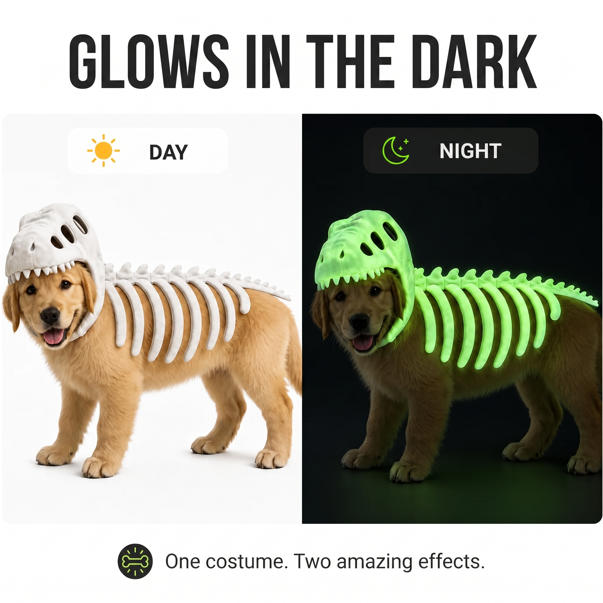 DinoDog™ Pet Costume – Glow in the Dark