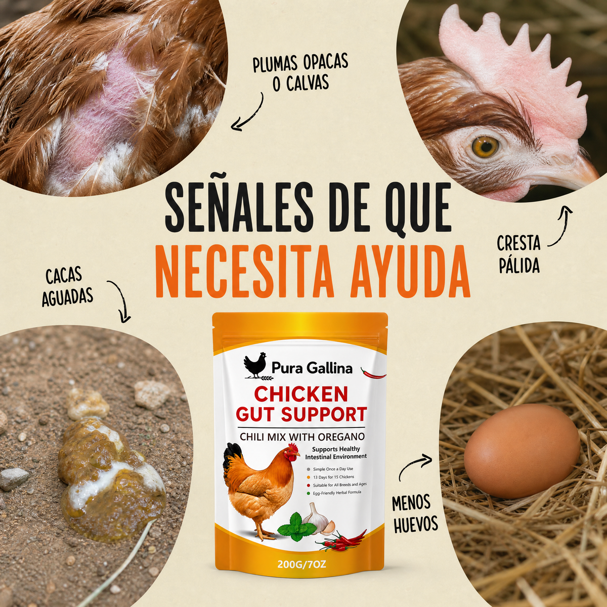 Pura Gallina  Suplemento natural de chile y orégano para gallinas