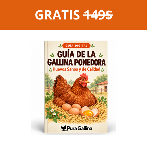 Guía digital: Huevos Sanos y de Calidad